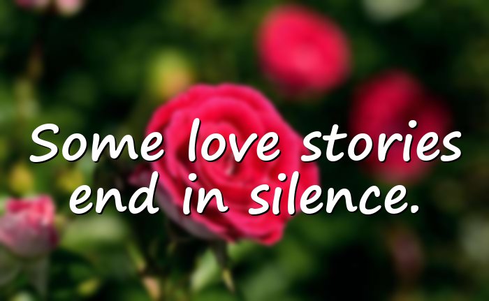 broken heart quotes - 11