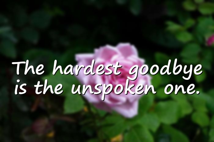 broken heart quotes - 6