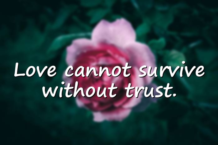 broken trust quotes - 6