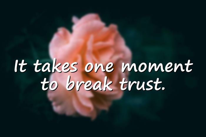 broken trust quotes - 16