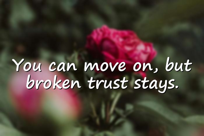 broken trust quotes - 6
