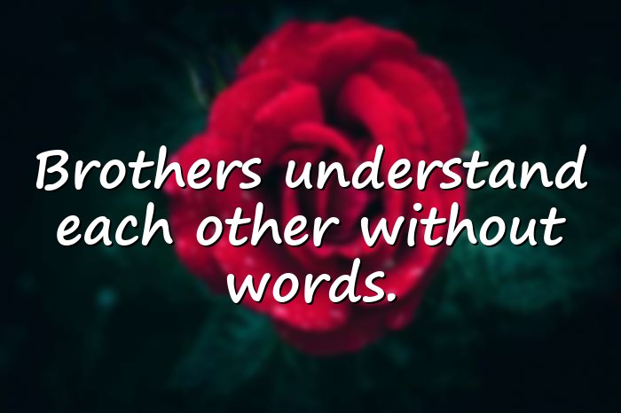 brother quotes - 6