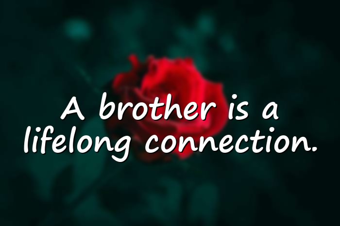 brother quotes - 1