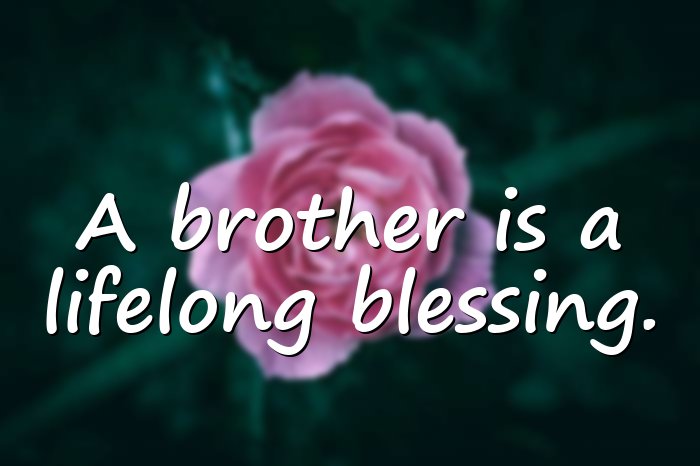 brother quotes - 16