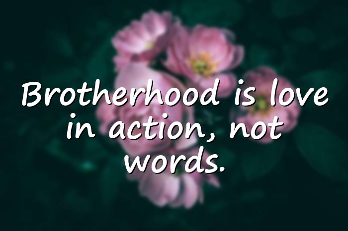 brother quotes - 11