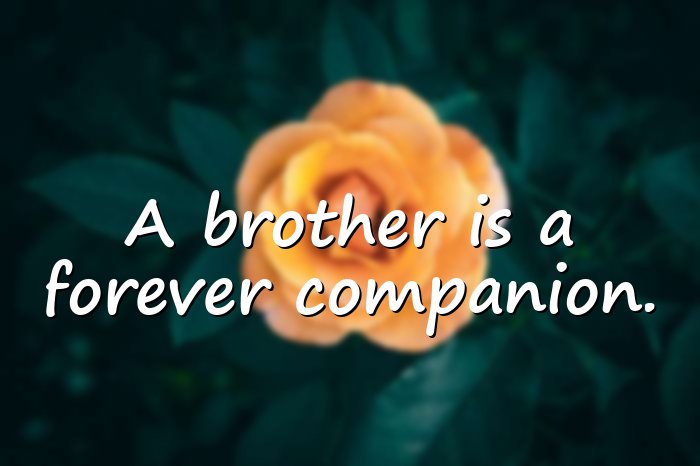 brother quotes - 6