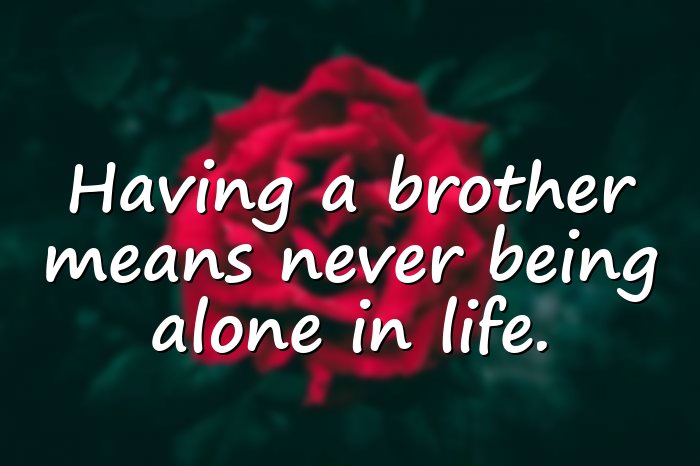 brother quotes - 1