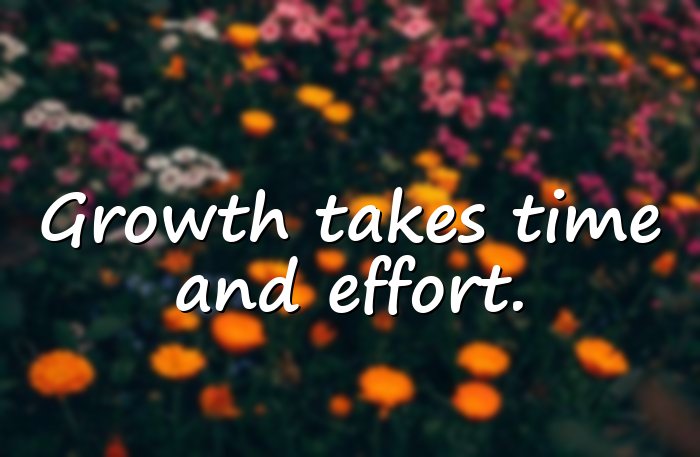 business quotes - 16