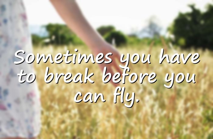 butterfly quotes - 21