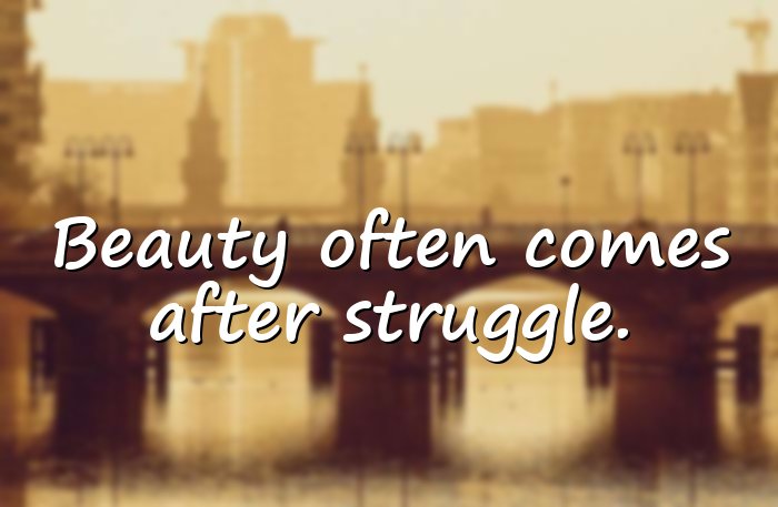 butterfly quotes - 11