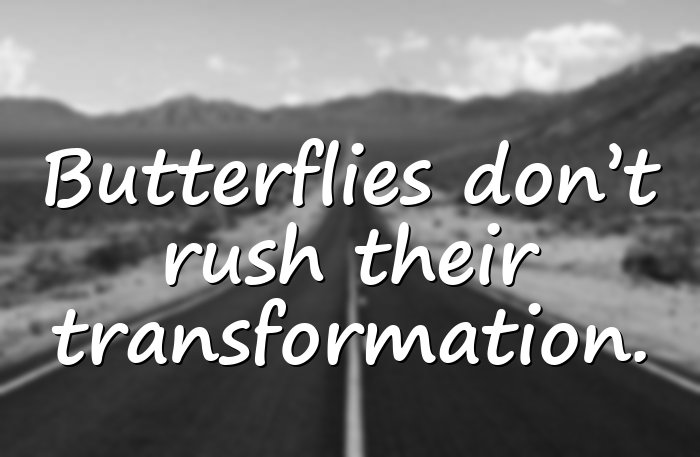 butterfly quotes - 6