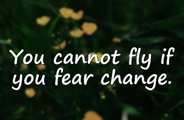 butterfly quotes - 1