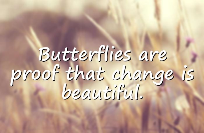 butterfly quotes - 16