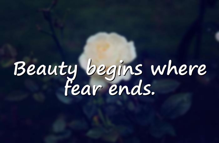 butterfly quotes - 11