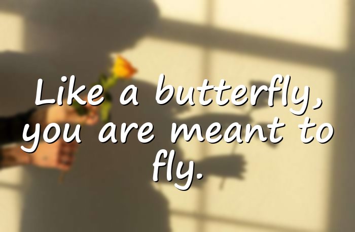 butterfly quotes - 1