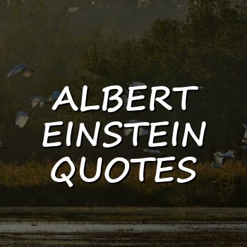 albert einstein quotes - 2026