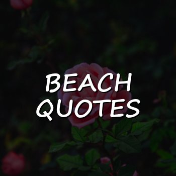 beach quotes - 2026