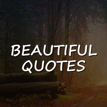 beautiful quotes - 2026