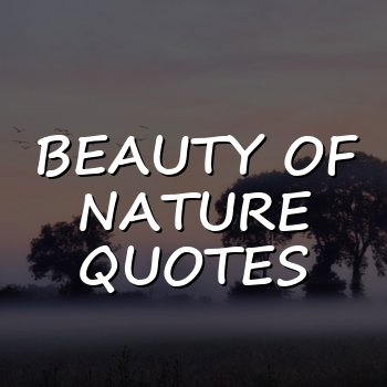 beauty of nature quotes - 2026