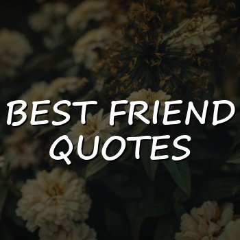best friend quotes - 2026
