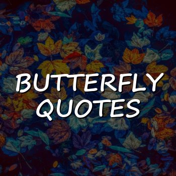 butterfly quotes - 2026