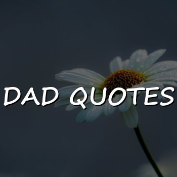 dad quotes - 2026