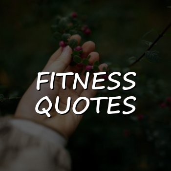 fitness quotes - 2026