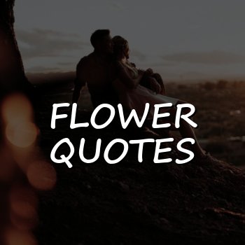 flower quotes - 2026