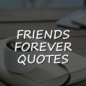 friends forever quotes - 2026