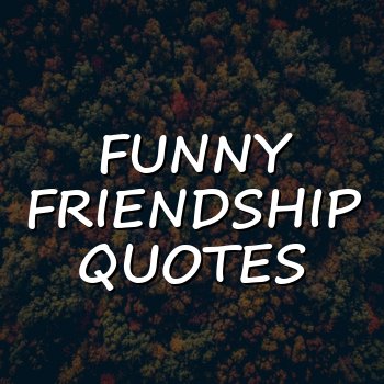 funny friendship quotes - 2026