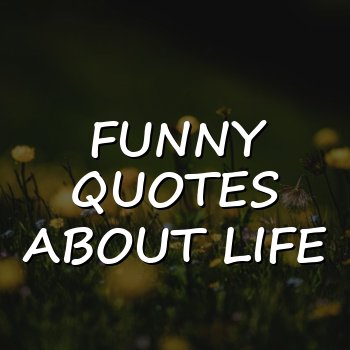 funny quotes about life - 2026