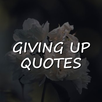 giving up quotes - 2026