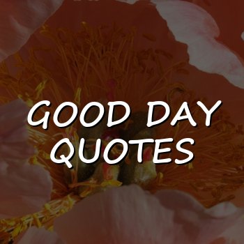 good day quotes - 2026