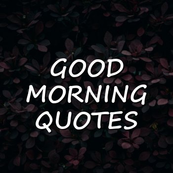 good morning quotes - 2026
