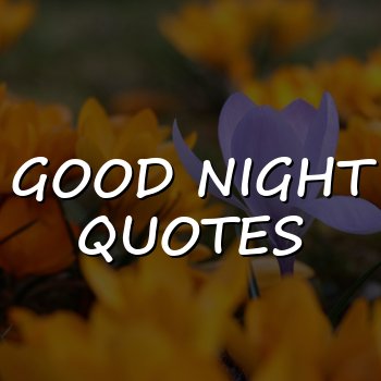 good night quotes - 2026