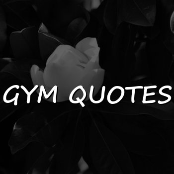 gym quotes - 2026