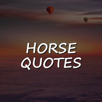 horse quotes - 2026