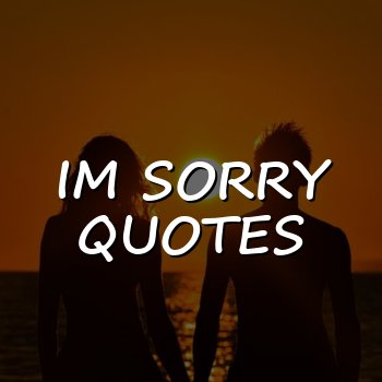 im sorry quotes - 2026
