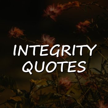integrity quotes - 2026