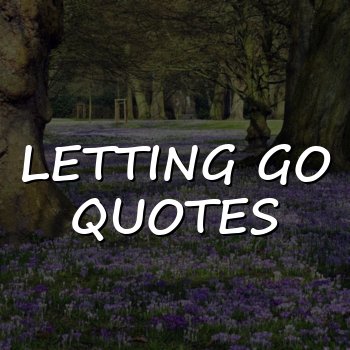 letting go quotes - 2026