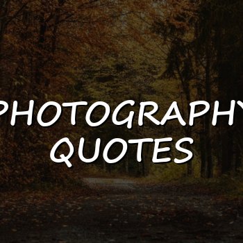 photography quotes - 2026