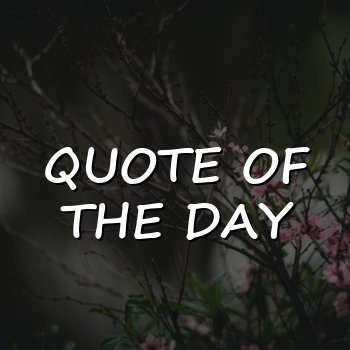 quote of the day - 2026