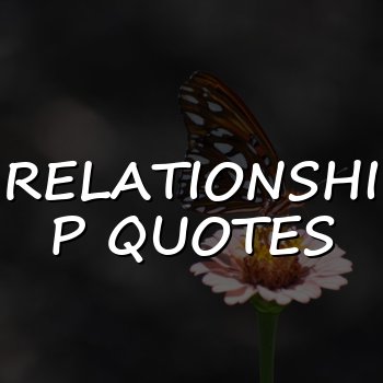 relationship quotes - 2026