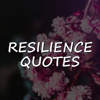 resilience quotes - 2026