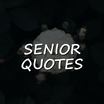 senior quotes - 2026
