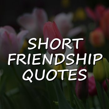 short friendship quotes - 2026