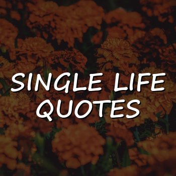 single life quotes - 2026