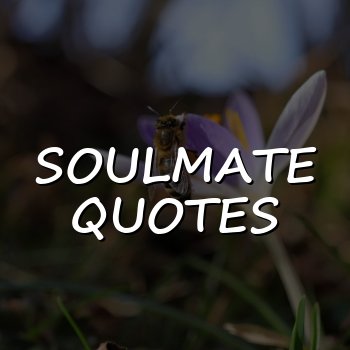 soulmate quotes - 2026