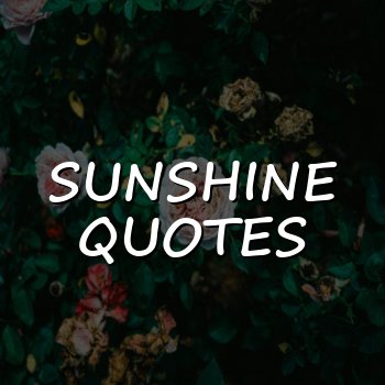 sunshine quotes - 2026