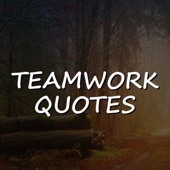 teamwork quotes - 2026
